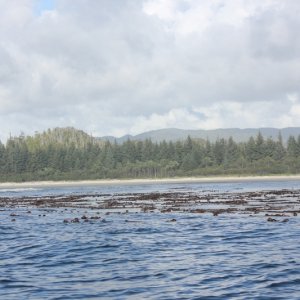 West Beach Calvert Island