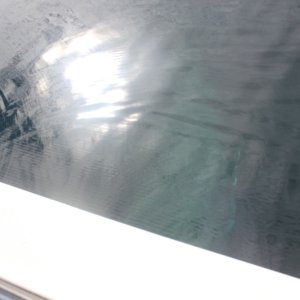 So nice of him to swim under the boat for the girls to get a closer look