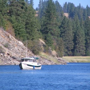 Media 'IMG 5663' in album 'Kettle Falls Marina'