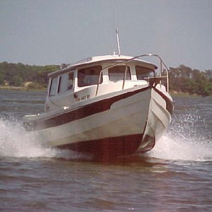 Otter under way, Great Wicomico River, Virginia.JPG