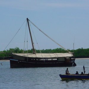 This is a "luxury dhow" used for private tours.  For $1900/day, you can join the likes of Robin Williams and Norwegian royalty in chartering the Tusitiri