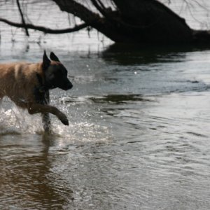 Zoe