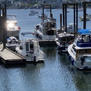 Media 'Newcastle Island Provincial Park docks.  We were the last boat into this tight dock space.  Twins did help entering, turning & docking with a breeze blowing.' in album 'Sleepy C, Harvey & HunkyDory at Sucia'