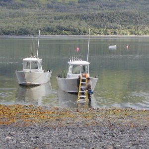 Going fishing