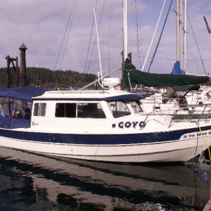 Goyo
