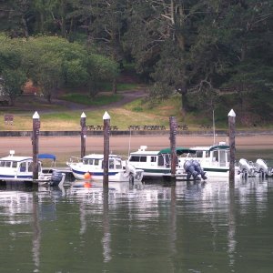 (Dora~Jean) All lined up at Angel Island, SF Bay, left to right: Salty-C's, Pounder, Dora~Jean, Discovery.