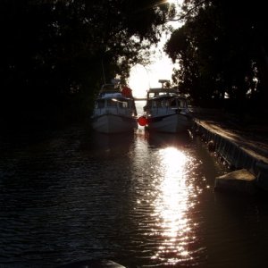 Evening at Wheeler Island