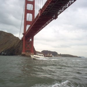 Pounder under the Golden Gate Bridge