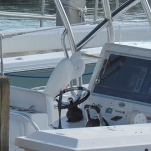 Media 'Captain Bird Brain' in album 'Jacksonville from I 95'