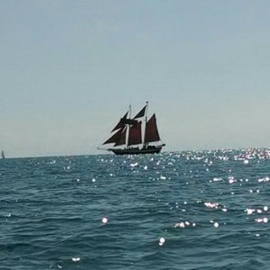 Jolly Rover at sail Key West BYOB sunset sail.
