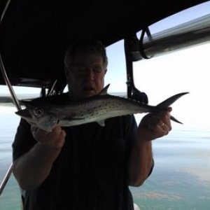 More Spanish mackerel thanks to a piece of Mr. French Grunt