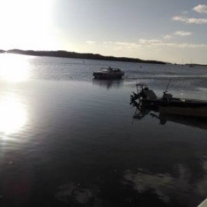 The Nauti Limo coming in