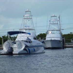 Media 'Glass Bottom Boat' in album 'Jacksonville from I 95'