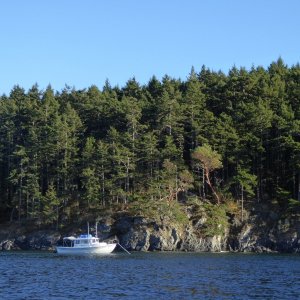 There are 4 buoys in Watmough Bay, but all were taken so I anchored for Saturday night