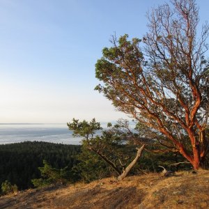 View from top of Chadwick Hill