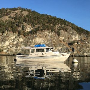 Experimented with a new method for tying to the buoy- it seemed to work well to minimize the thumps in the night when it is calm. unfortunately I don't think this will work with the larger State Park buoys.