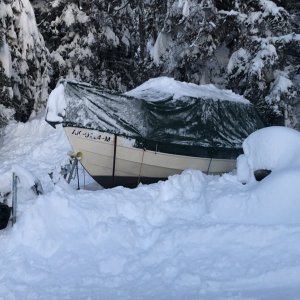 Buried by 50 inches of snow in December 2022