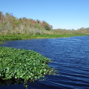 Lake Dexter