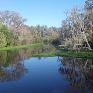 Bull Creek