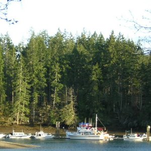 (Jeff and Diane) Jarrell's Cove View from Marina