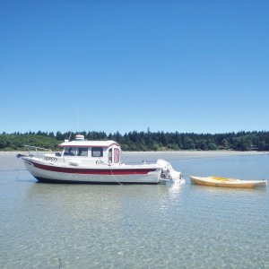 Media 'Tribune Bay 2017-06-22 002' in album 'C Gypsy'