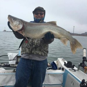 17 lb lake trout caught near Hammond, IL at the far South end of L. Michigan.