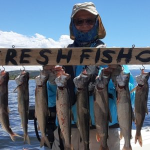 Lake Granby early season lake trout