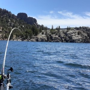 View from deck of Fresh Fish at 8,500 ft elevation