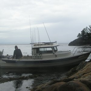 Shore leave just outside of Hardy Bay
