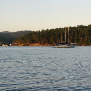 Media 'Blind Bay' in album 'Sucia Sunset'