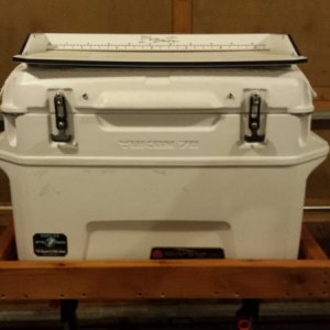 Media 'New Igloo Yukon 70 Cooler with BlackFish filet table' in album 'Cooler rack-idea "borrowed" from Brett on Sea-Cup'
