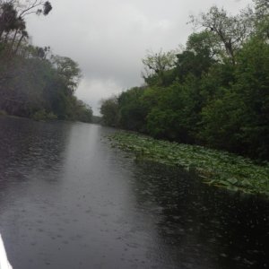 Norris Dead River in the evening rain