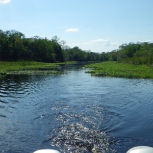 The Hontoon Dead River dies here