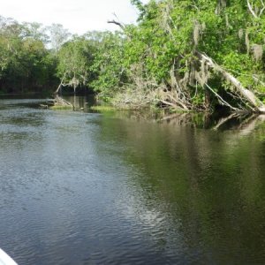 Media 'Etonia Creek' in album 'Sanford Boat Works'