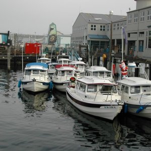 (rogerbum) C-Fleet #2