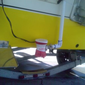 Media 'bait pump' in album 'c-dory 1'