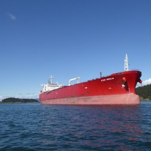 One of the many tankers anchored between Anacortes and Bellingham Bay