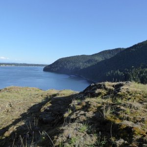 View looking South