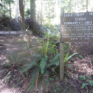 Hike to Pelican Beach, about 2 miles away