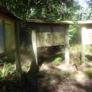 Kiosks at Pelican Beach