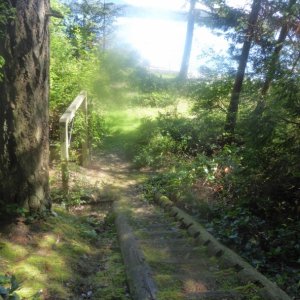 Stairs down to Pelican Beach