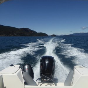 Cruising down Bellingham Channel