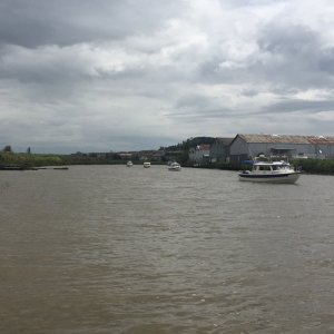 A gaggle of C-Dory\'s going down the Petaluma River