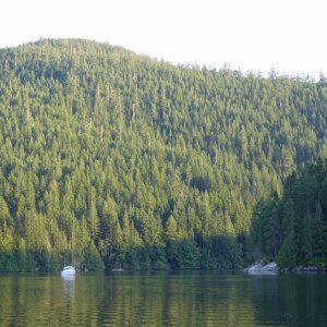 Per a local's recommendation at Comox, anchored in Waiatt Bay on Quadra Island late Tuesday evening, and still amazed by the relative lack of other boats