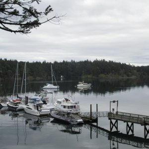 Sunday Morning at Prevost Harbor, Stuard Island