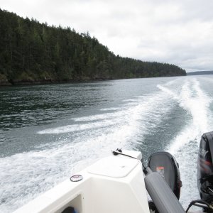 Cruising along the N. side of Shaw Island