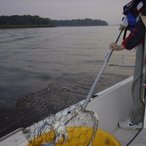 Maryland Line Crabbing 2