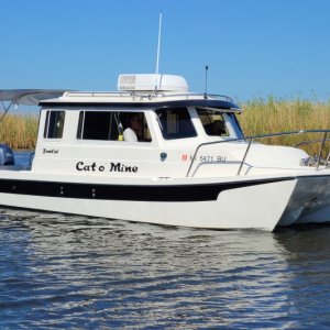 2014 Apalachicola Gathering, Scipio Creek
