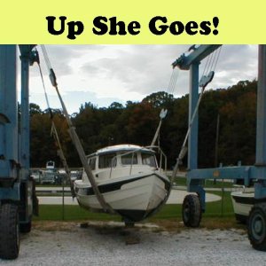 Being lifted to be placed on her trailer.
