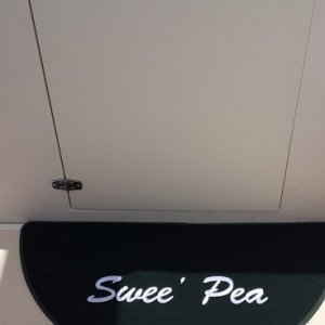 Media 'Embroidered Door Mat' in album 'Not an original photo of Swee Pea, but her twin.'